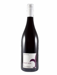 Pinot Noir Les Parcs Guy Allion