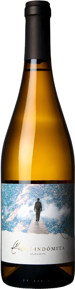 Calma Indomita Albarin