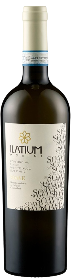 Ilatium Morini Soave